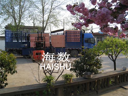 產(chǎn)品暢銷國(guó)內(nèi)外 櫻花盛開公司中